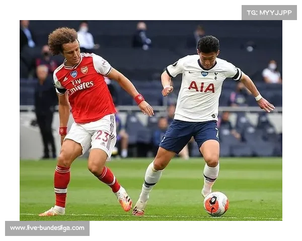 足球博彩成瘾问题严重 公益组织呼吁加大监管力度